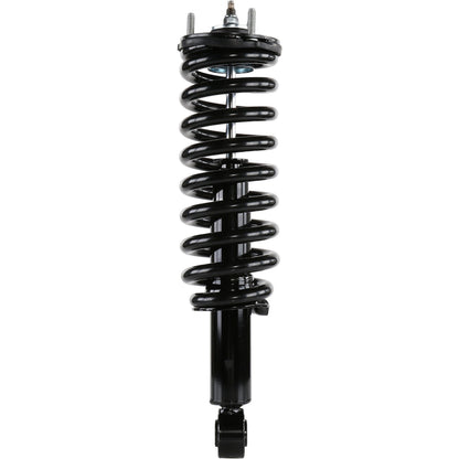 Monroe Shocks & Struts Suspension Strut and Coil Spring Assembly 181347R