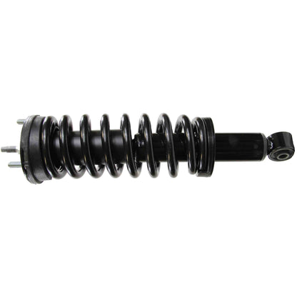Monroe Shocks & Struts Suspension Strut and Coil Spring Assembly 181353