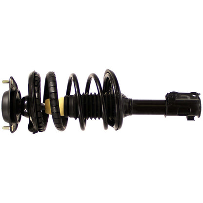 Monroe Shocks & Struts Suspension Strut and Coil Spring Assembly 181404
