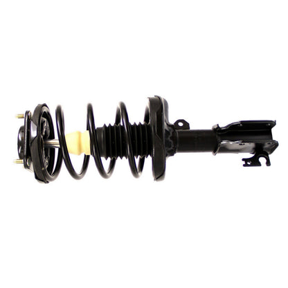 Monroe Shocks & Struts Suspension Strut and Coil Spring Assembly 181425