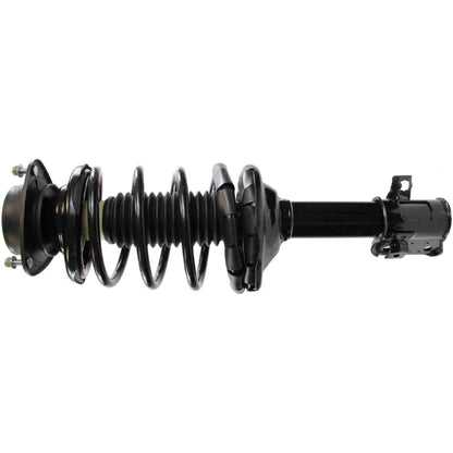 Monroe Shocks & Struts Suspension Strut and Coil Spring Assembly 181463