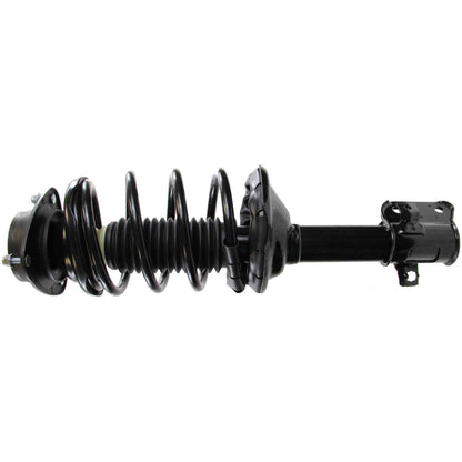 Monroe Shocks & Struts Suspension Strut and Coil Spring Assembly 181464