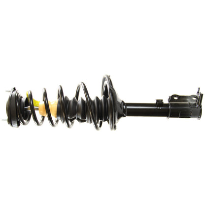 Monroe Shocks & Struts Suspension Strut and Coil Spring Assembly 181585