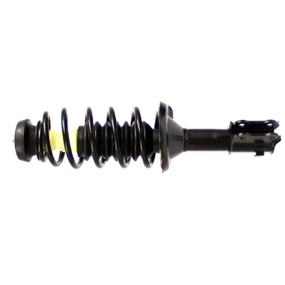 Monroe Shocks & Struts Suspension Strut and Coil Spring Assembly 181933
