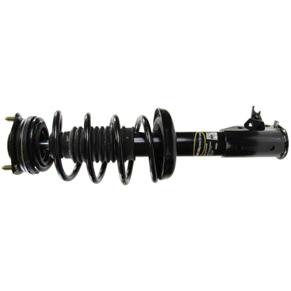 Monroe Shocks & Struts Suspension Strut and Coil Spring Assembly 182284