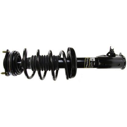Monroe Shocks & Struts Suspension Strut and Coil Spring Assembly 182284