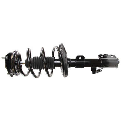 Monroe Shocks & Struts Suspension Strut and Coil Spring Assembly 182365