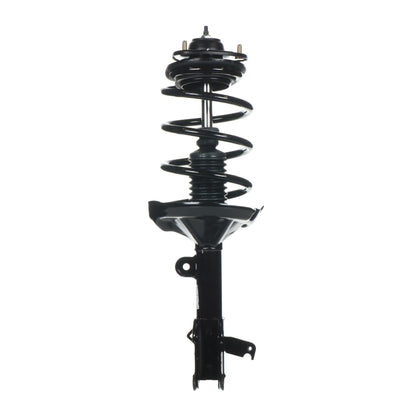 Monroe Shocks & Struts Suspension Strut and Coil Spring Assembly 182536