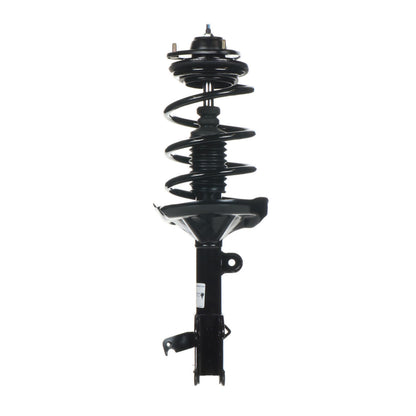 Monroe Shocks & Struts Suspension Strut and Coil Spring Assembly 182537