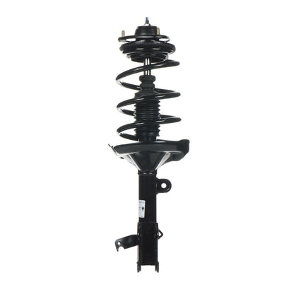 Monroe Shocks & Struts Suspension Strut and Coil Spring Assembly 182537