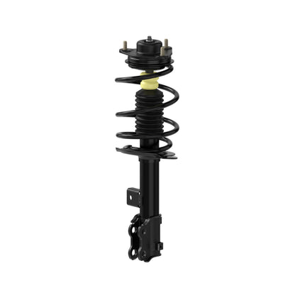 Monroe Shocks & Struts Suspension Strut and Coil Spring Assembly 182587