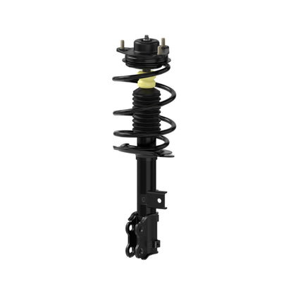 Monroe Shocks & Struts Suspension Strut and Coil Spring Assembly 182588