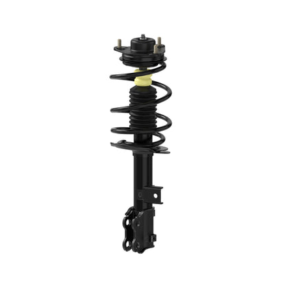 Monroe Shocks & Struts Suspension Strut and Coil Spring Assembly 182588