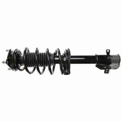 Monroe Shocks & Struts Suspension Strut and Coil Spring Assembly 182888