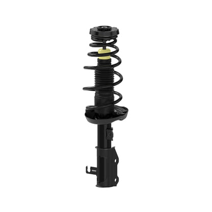 Monroe Shocks & Struts Suspension Strut and Coil Spring Assembly 182976