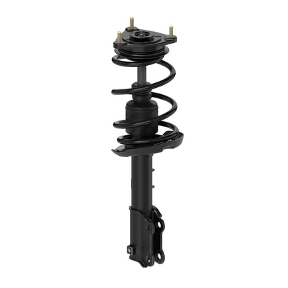 Monroe Shocks & Struts Suspension Strut and Coil Spring Assembly 183067