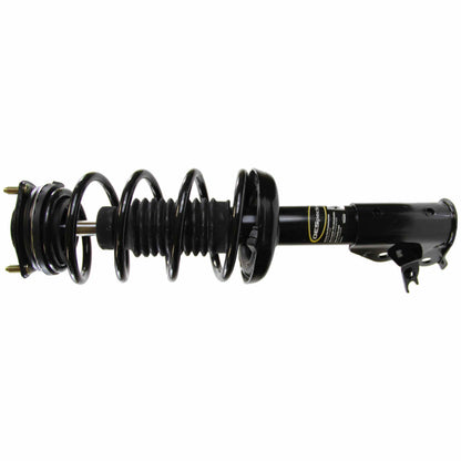 Monroe Shocks & Struts Suspension Strut and Coil Spring Assembly 272285