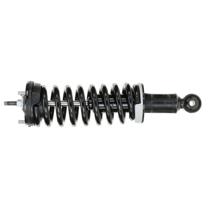 Monroe Shocks & Struts Suspension Strut and Coil Spring Assembly 281353