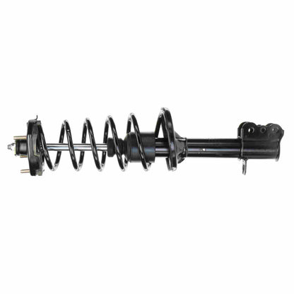 Monroe Shocks & Struts Suspension Strut and Coil Spring Assembly 281589