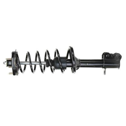 Monroe Shocks & Struts Suspension Strut and Coil Spring Assembly 281589