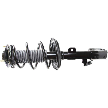 Monroe Shocks & Struts Suspension Strut and Coil Spring Assembly 282211