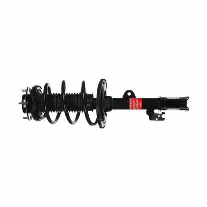 Monroe Shocks & Struts Suspension Strut and Coil Spring Assembly 372484