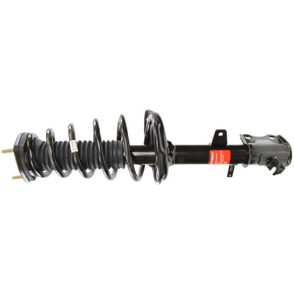 Monroe Shocks & Struts Suspension Strut and Coil Spring Assembly 372489