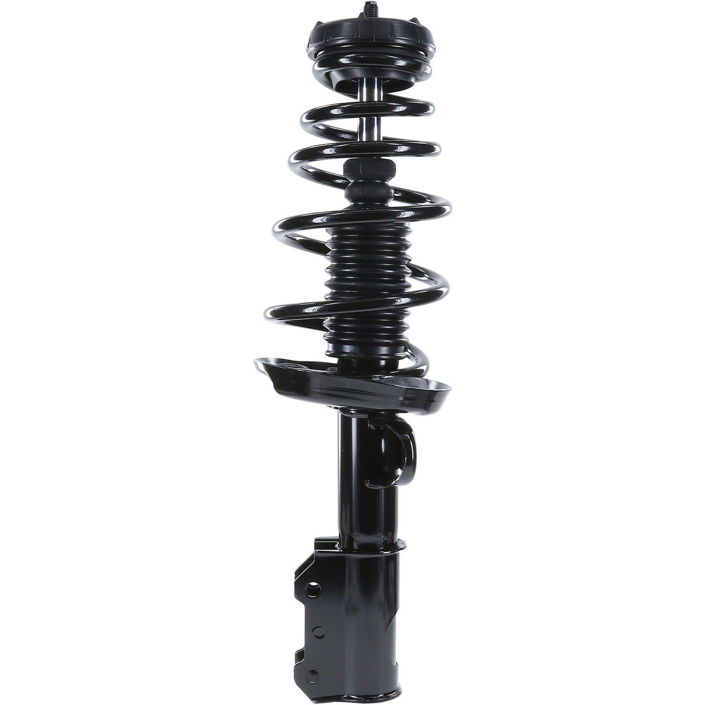 Monroe Shocks & Struts Suspension Strut and Coil Spring Assembly 382664