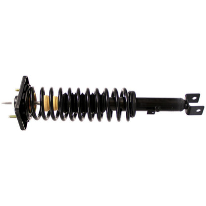 Monroe Shocks & Struts Suspension Strut and Coil Spring Assembly 481311