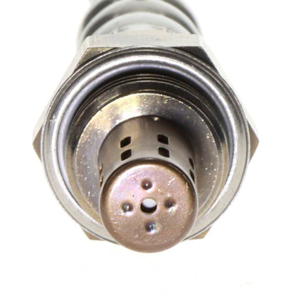 T Series Oxygen Sensor SG2103T