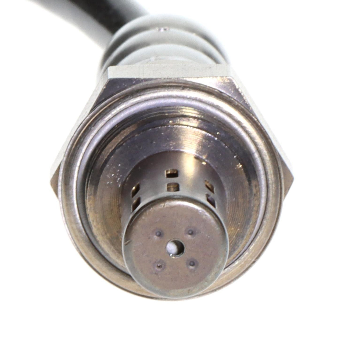 T Series Oxygen Sensor SG2124T