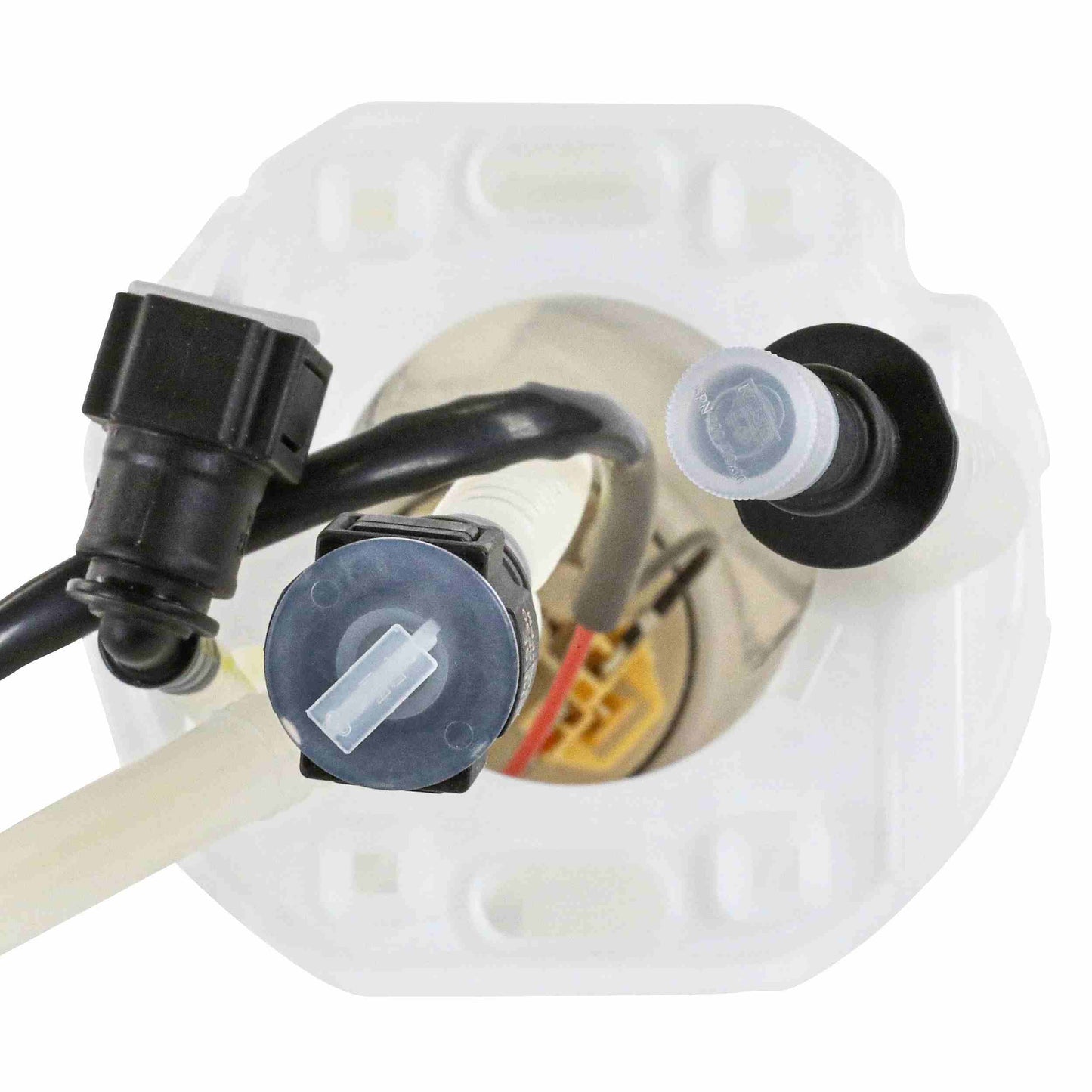 Continental Fuel Pump Module Assembly A2C53096826Z