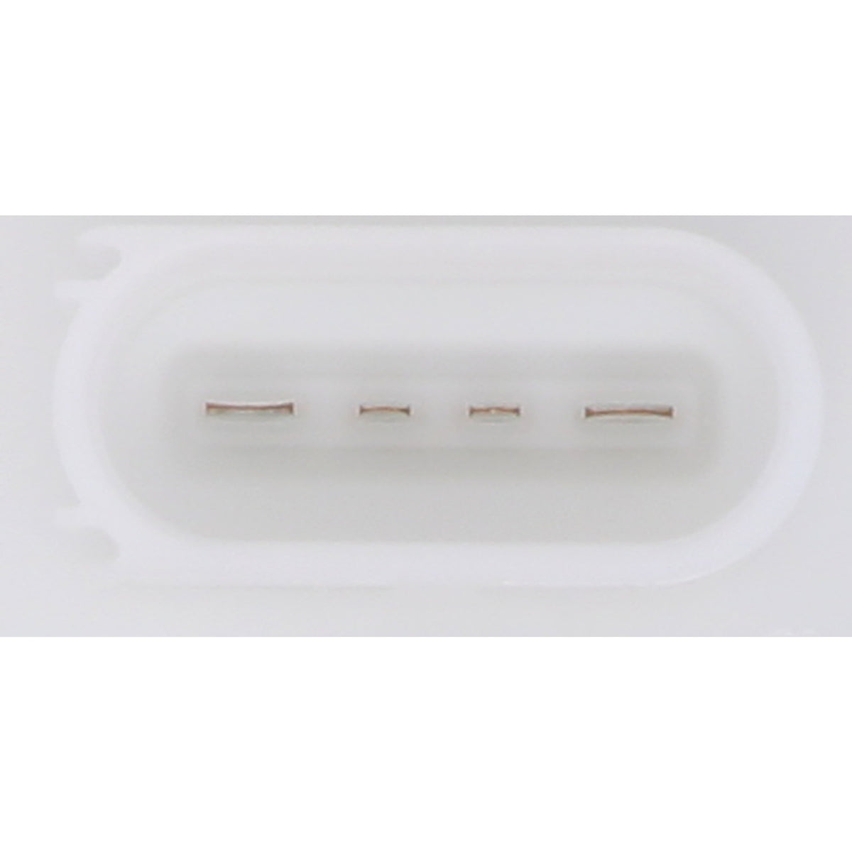 Continental Fuel Pump Module Assembly A2C59511690