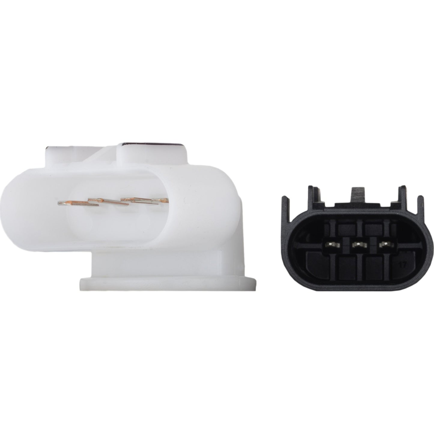 Continental Fuel Pump Module Assembly FP22052S