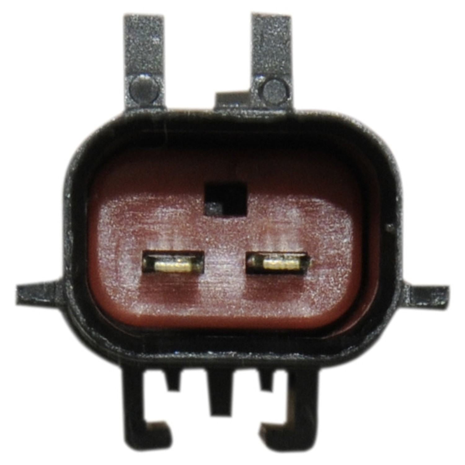 Continental Power Window Motor and Regulator Assembly WL41044