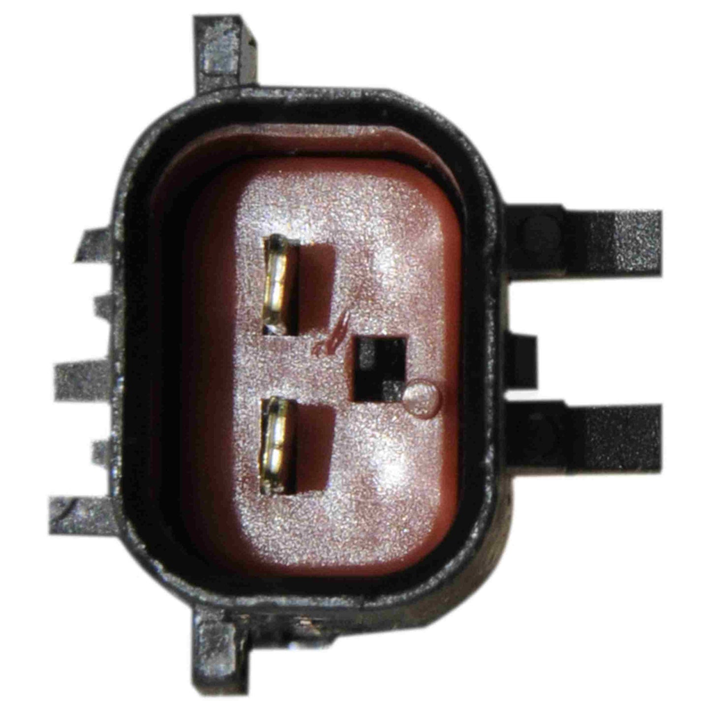 Continental Power Window Motor and Regulator Assembly WL41051