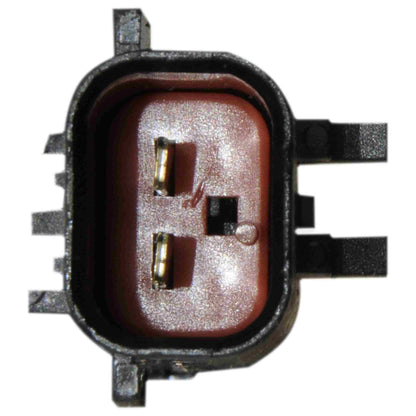Continental Power Window Motor and Regulator Assembly WL41051