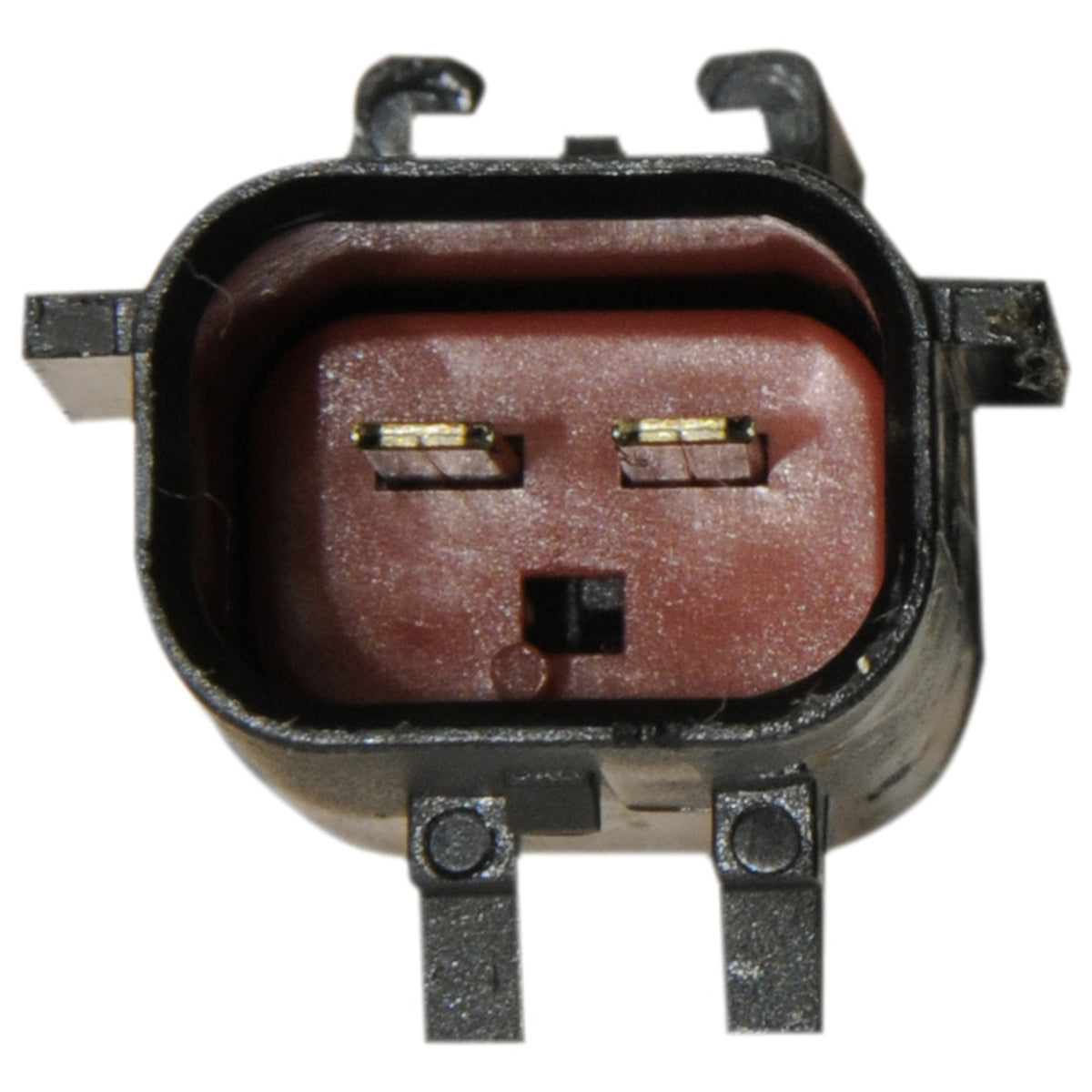 Continental Power Window Motor and Regulator Assembly WL41053