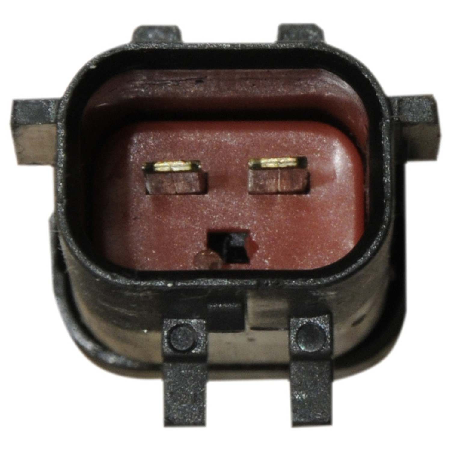 Continental Power Window Motor and Regulator Assembly WL41054