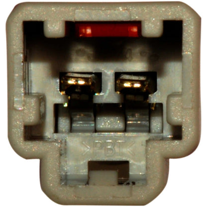 Continental Power Window Motor and Regulator Assembly WL41159