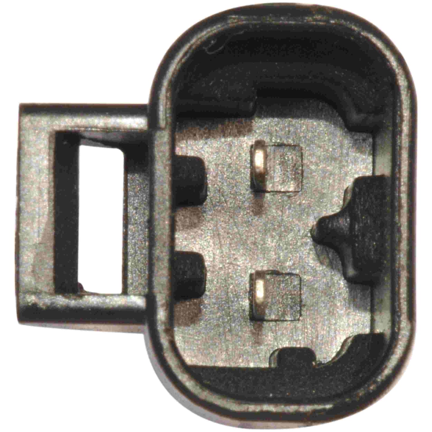 Continental Power Window Motor and Regulator Assembly WL41444
