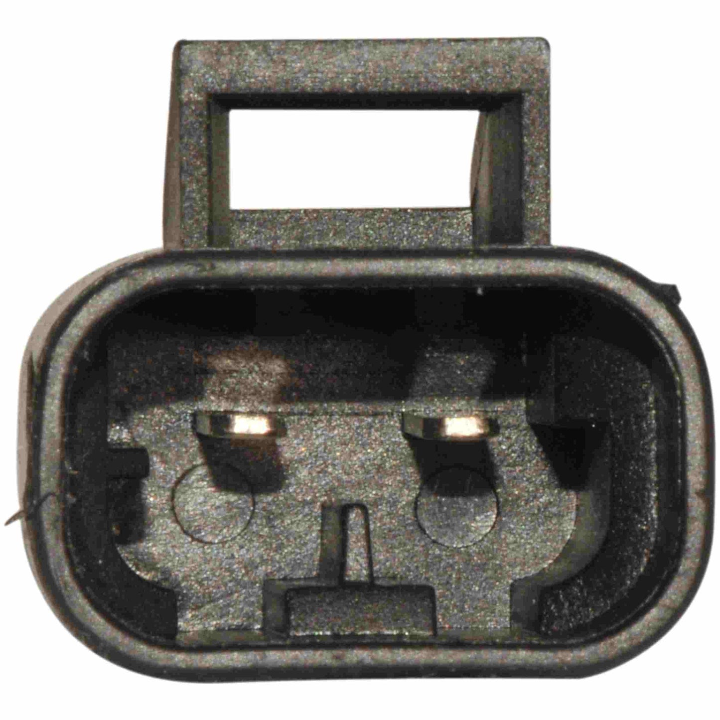 Continental Power Window Motor and Regulator Assembly WL41445