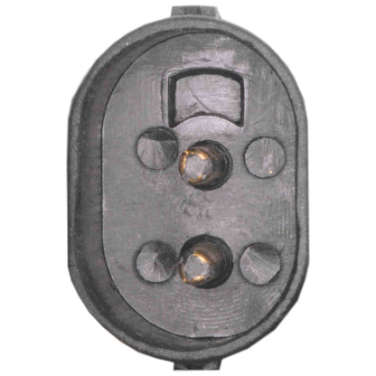 Continental Power Window Motor and Regulator Assembly WL41483