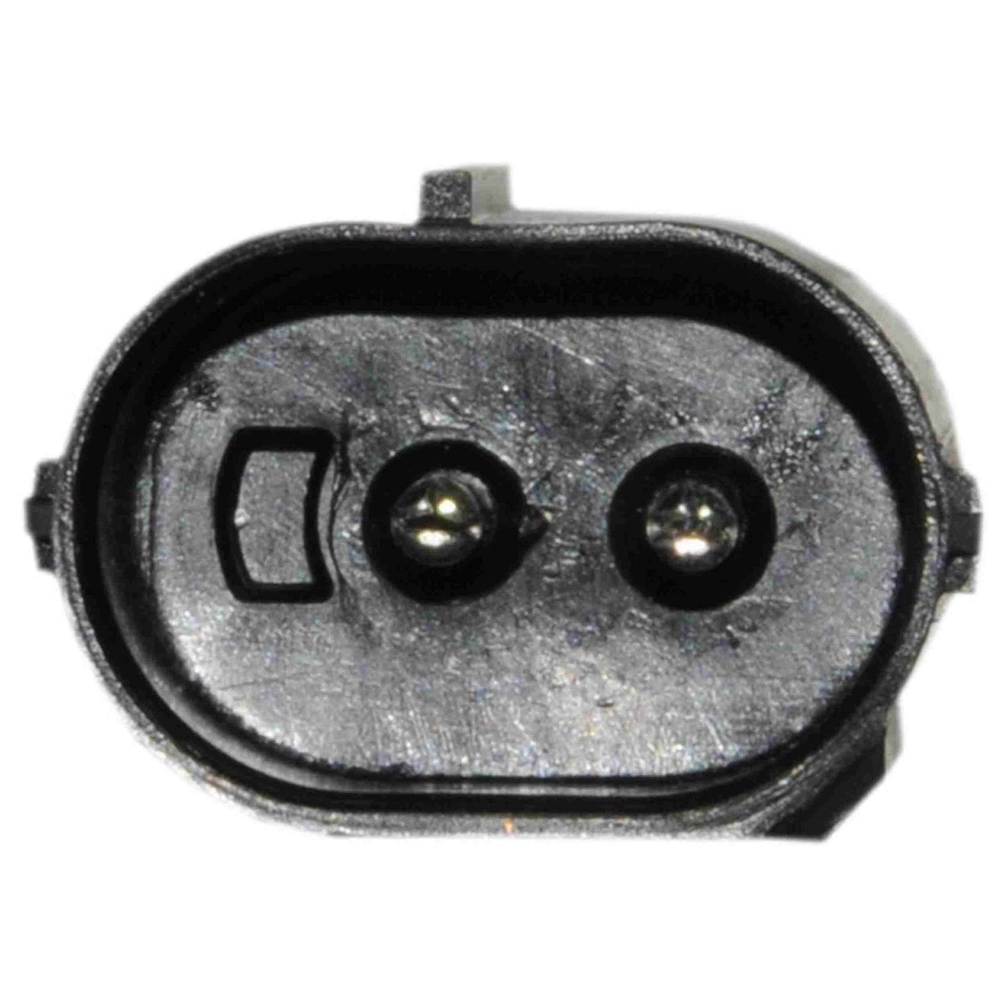 Continental Power Window Motor and Regulator Assembly WL41487