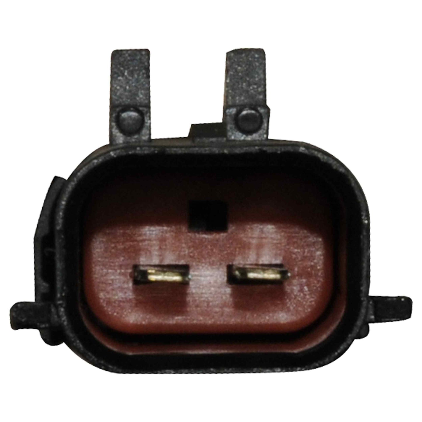 Continental Power Window Motor and Regulator Assembly WL41552