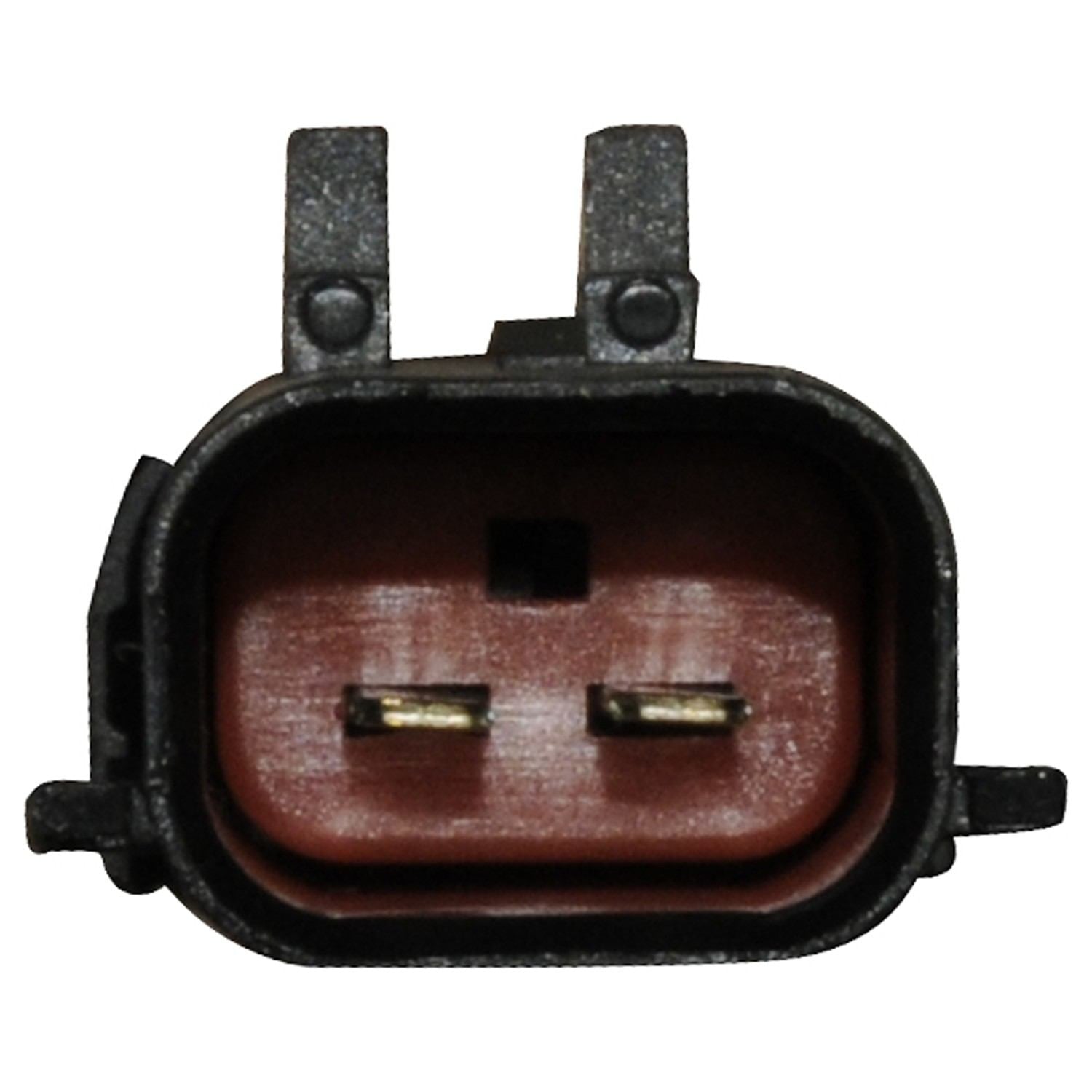 Continental Power Window Motor and Regulator Assembly WL41552