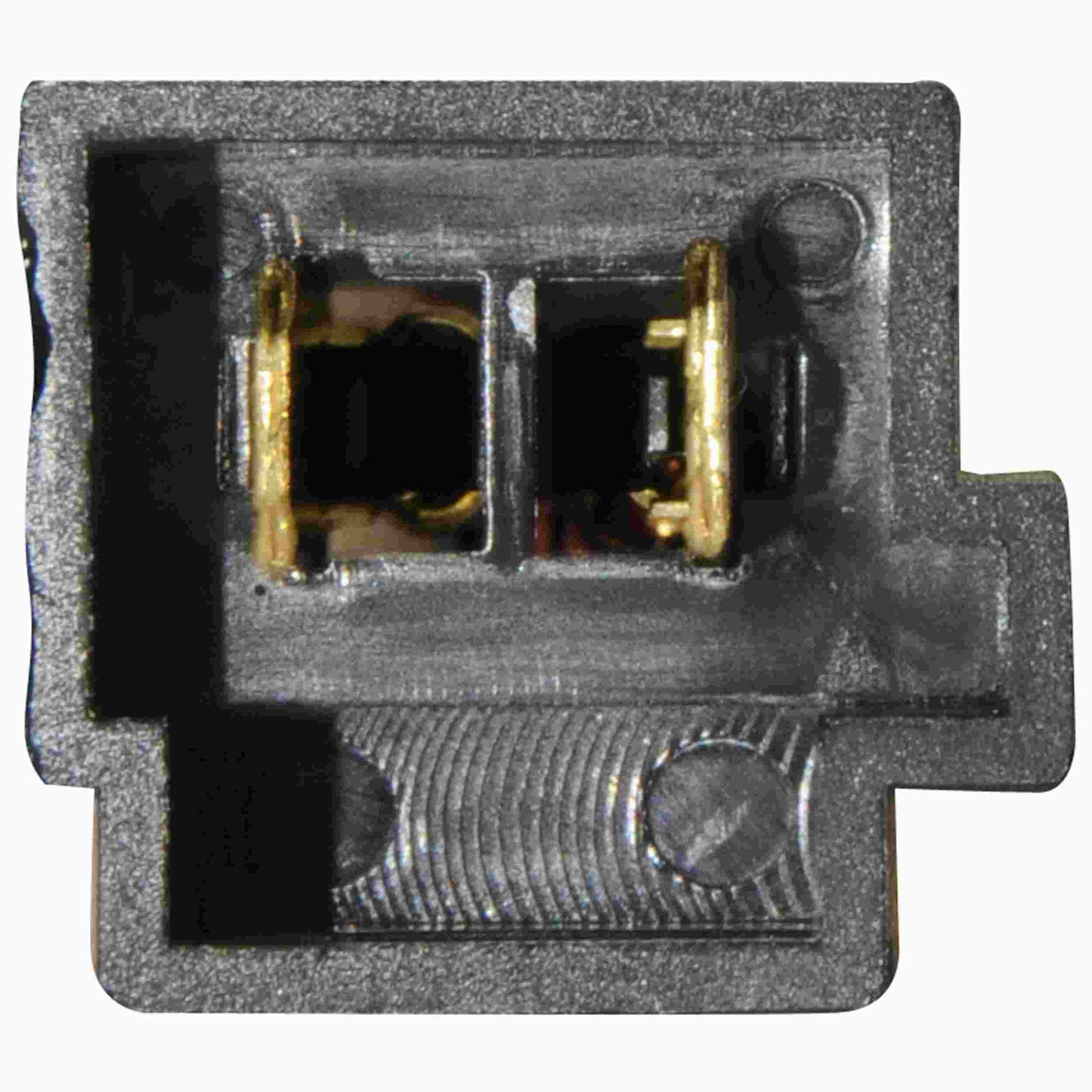 Continental Power Window Motor and Regulator Assembly WL41555