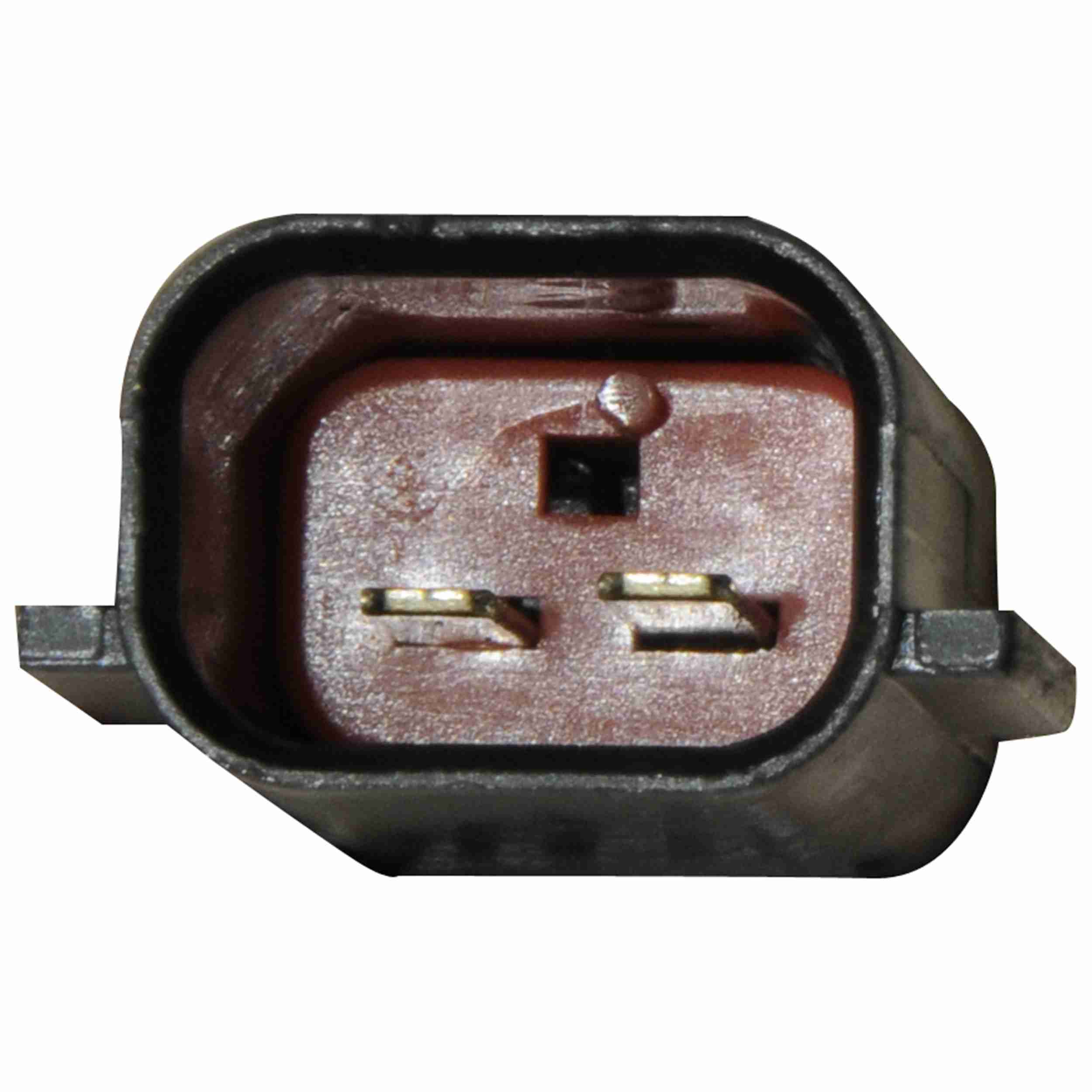 Continental Power Window Motor and Regulator Assembly WL41556