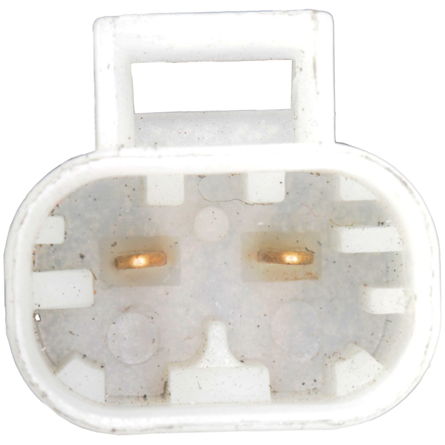 Continental Power Window Motor and Regulator Assembly WL41579