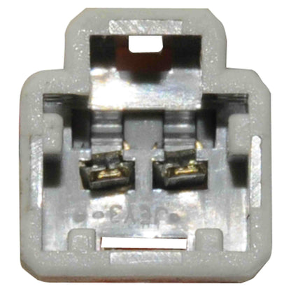 Continental Power Window Motor and Regulator Assembly WL41744